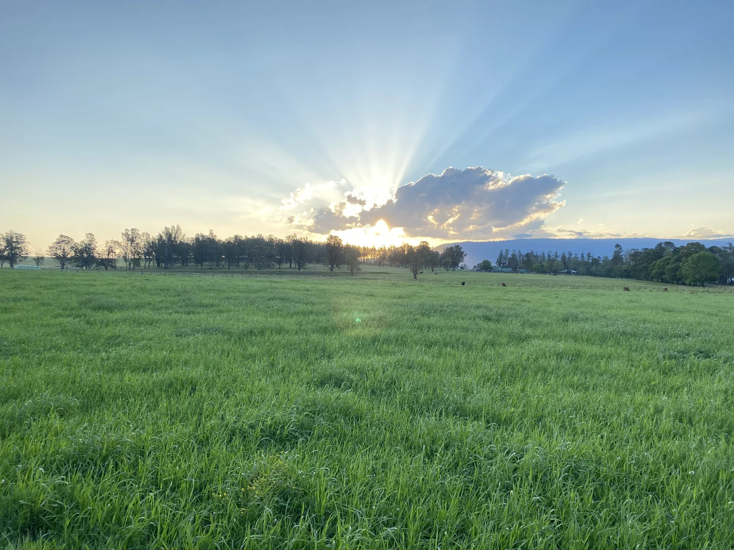 Additional image 27 of 119 Duck Creek Road, Old Bonalbo NSW 2469