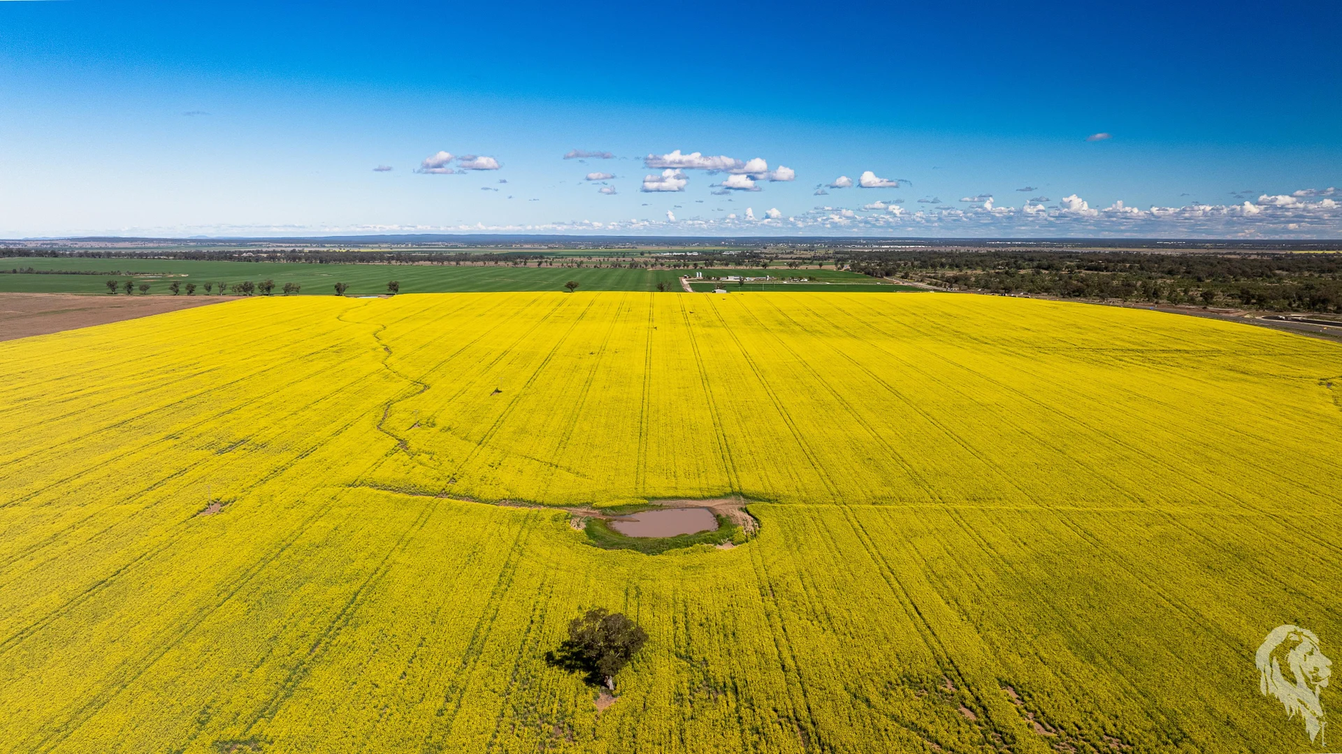 Additional image 9 of 13012 Newell Highway, Narrabri NSW 2390