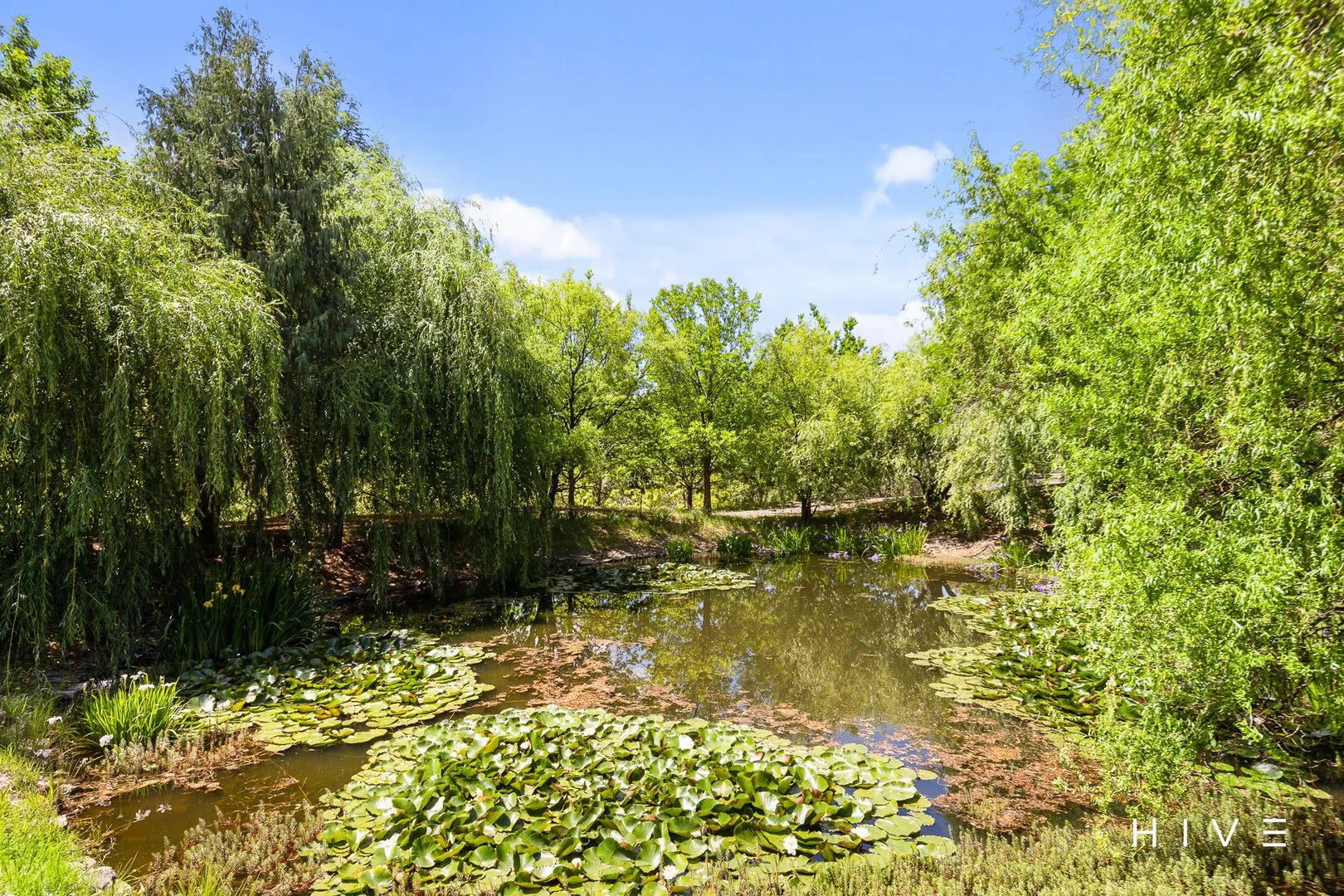 Additional image 26 of 154 Woodgrove Close, Wallaroo NSW 2618