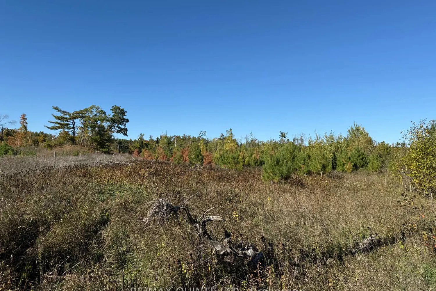 Additional image 4 of 0 Price Road