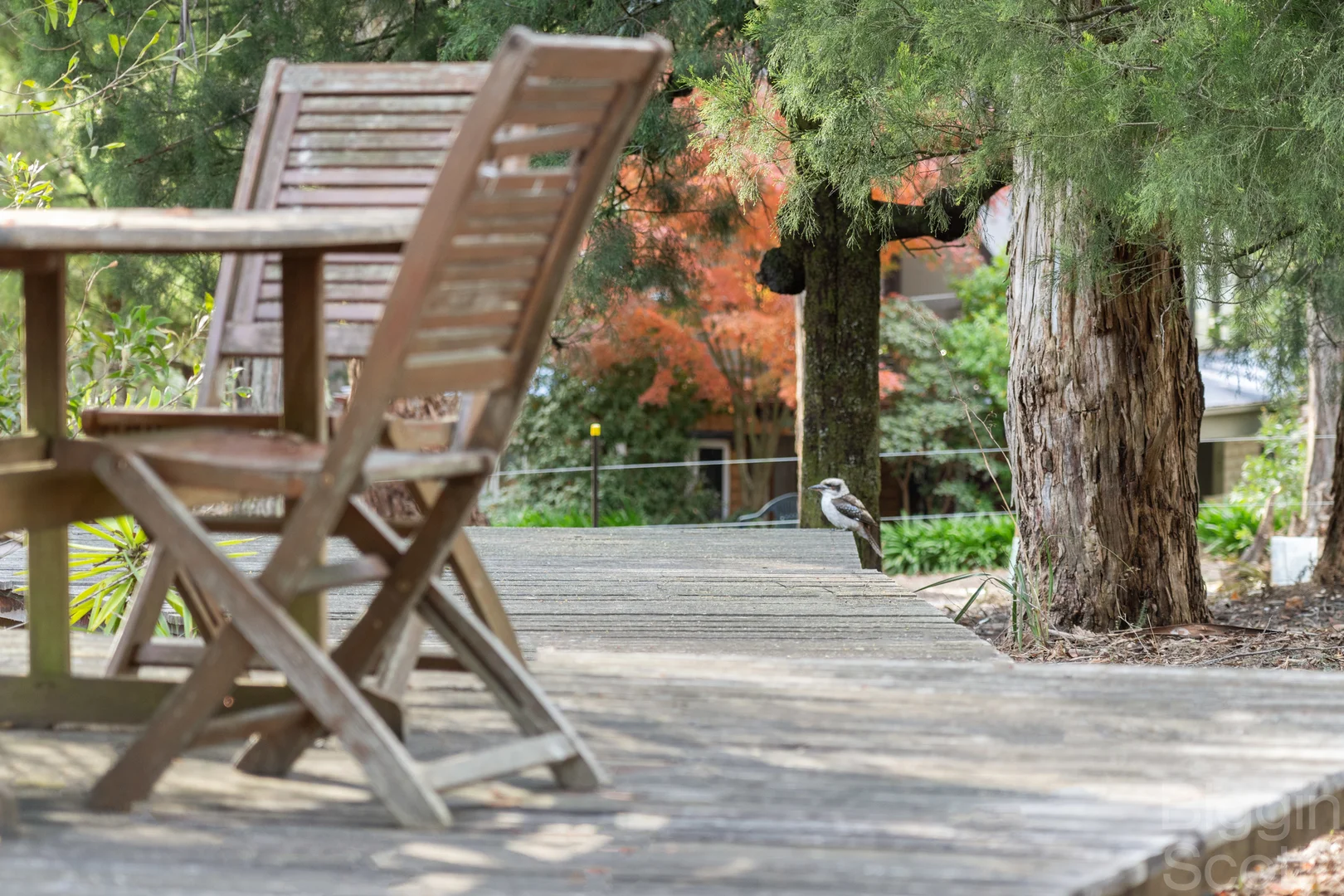 Additional image 10 of 14 Radium Avenue, Sailors Falls VIC 3461