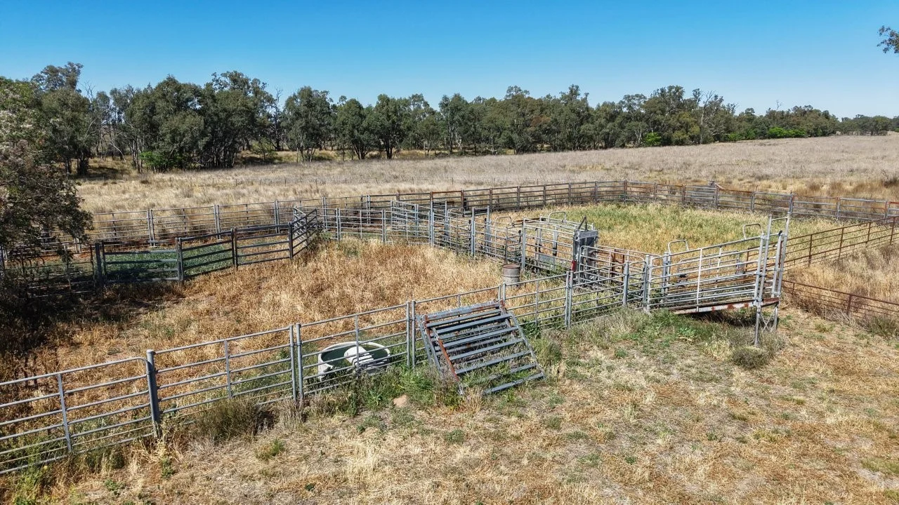 Additional image 17 of 128 Berida-Bullagreen Road, Collie NSW 2827