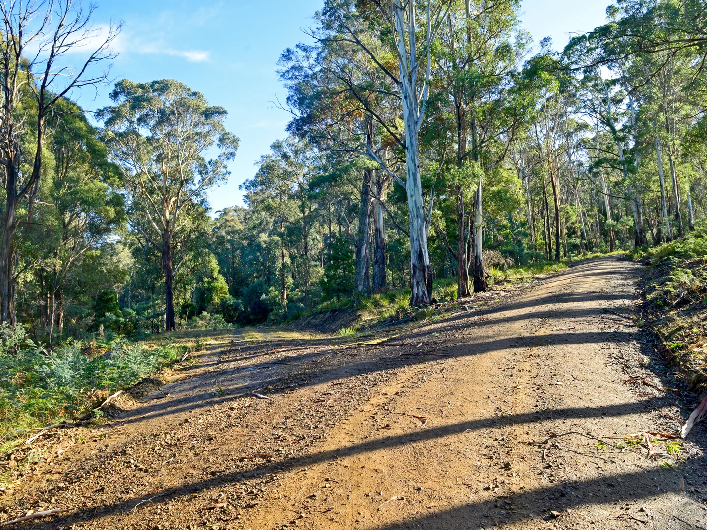 Additional image 10 of 172 Mcguires Marsh Road, Osterley TAS 7140