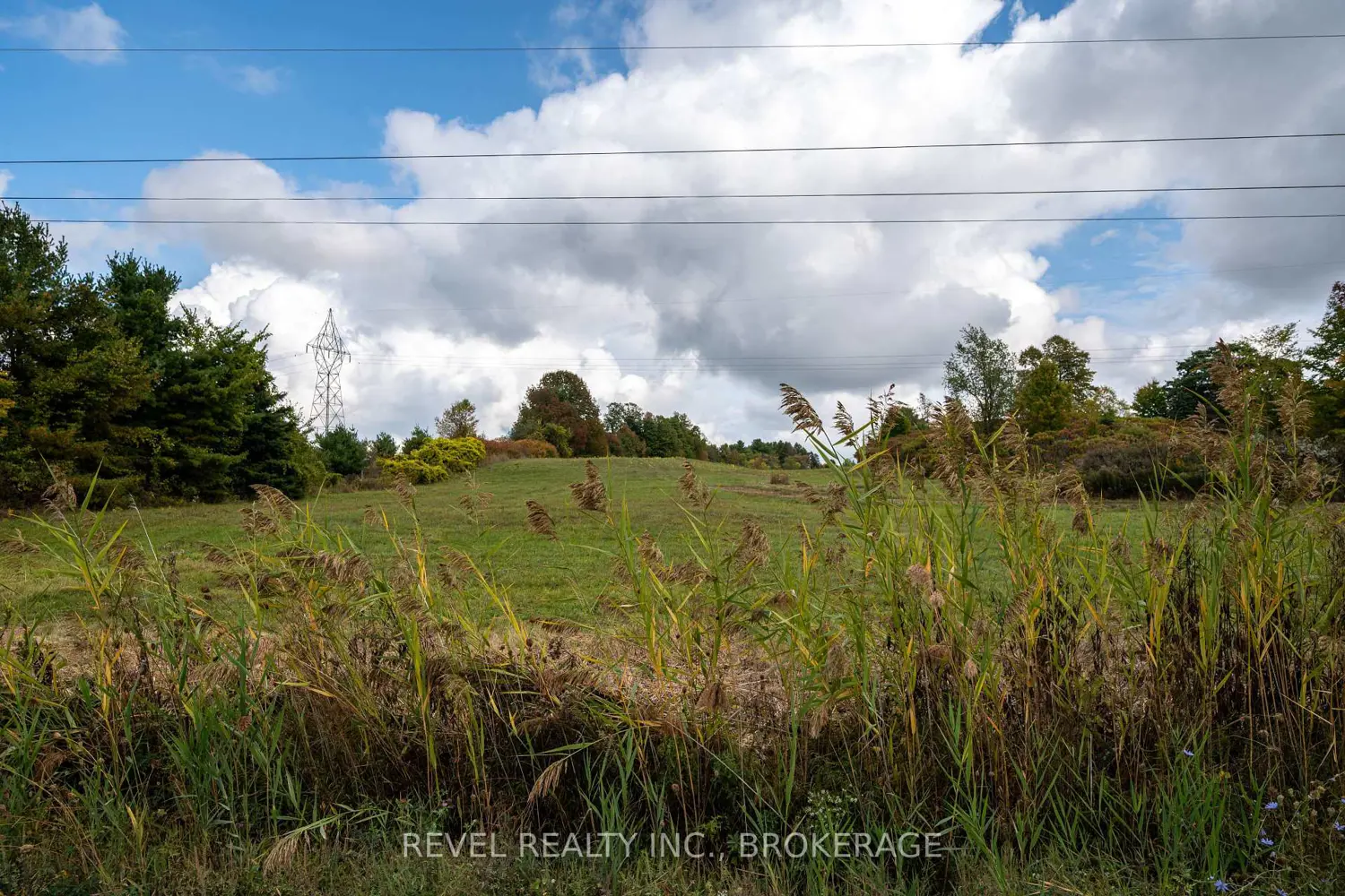 Additional image 17 of 00 Forty Foot Road