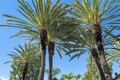Additional image 5 of 26469 Portola, Mission Viejo, CA, 92692