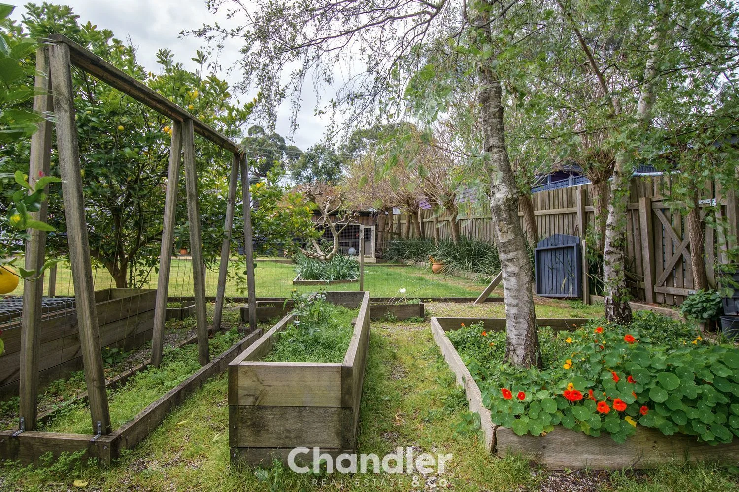 Additional image 20 of 10 Temple Road, Belgrave South VIC 3160