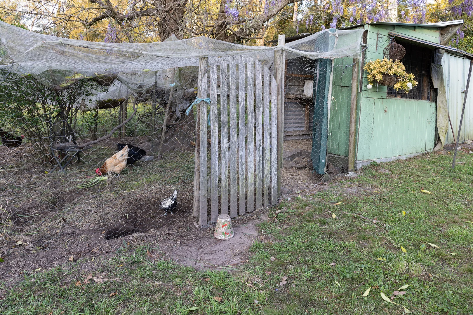 Additional image 38 of 1213 Bulga Road, Marlee NSW 2429