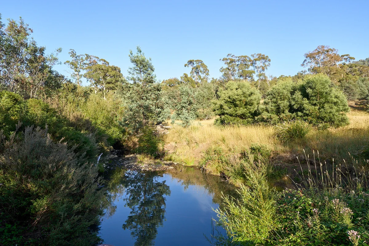 Additional image 4 of 747 White Kangaroo Road, Campania TAS 7026