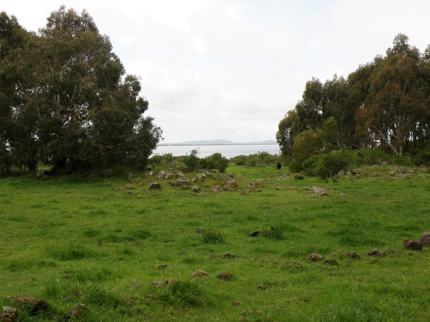 Additional image 7 of 289 Rands Road, Pomborneit North VIC 3260