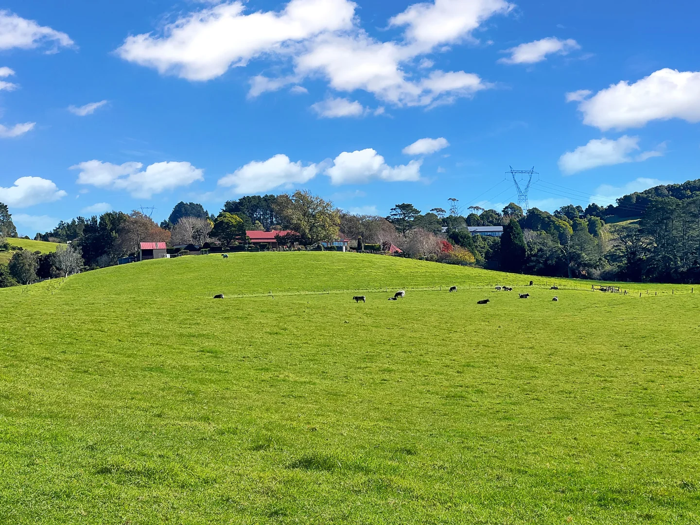 Additional image 23 of 188 Fountaindale Road, Robertson NSW 2577