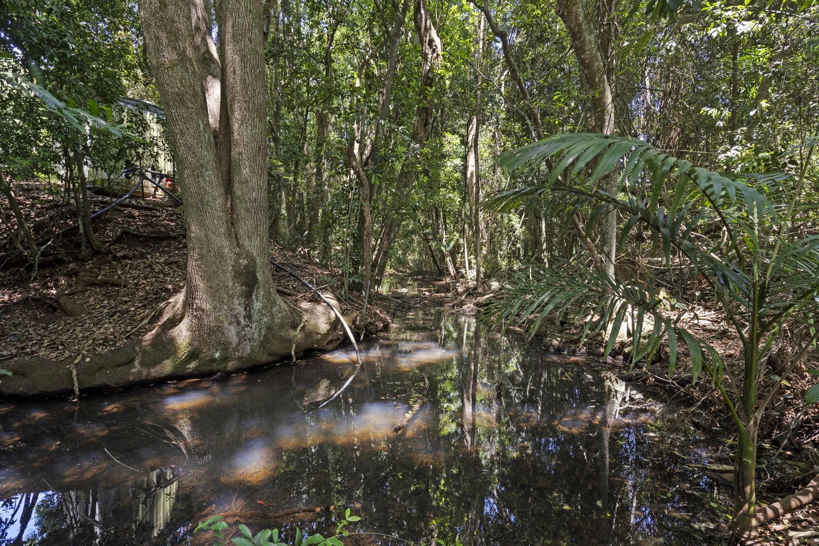 Additional image 29 of 347 Goremans Road, Eureka NSW 2480