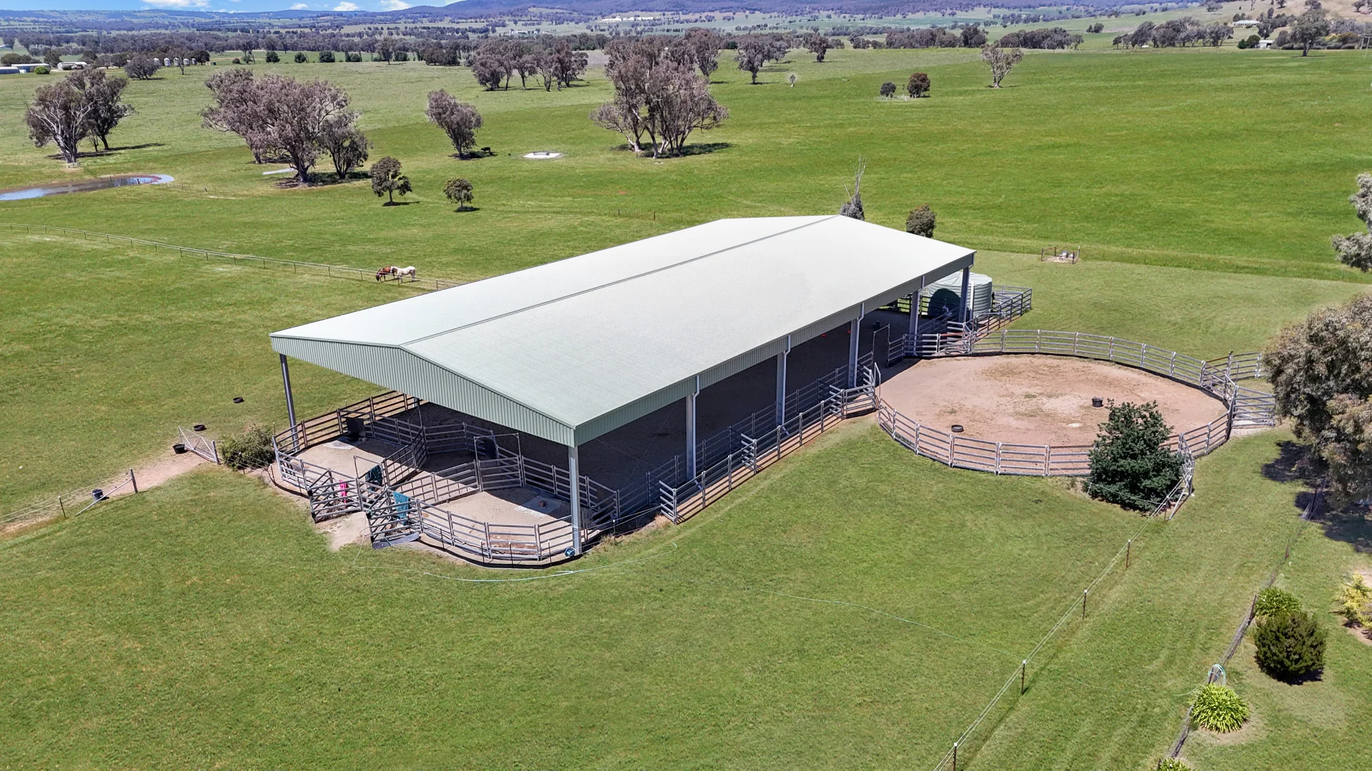 Additional image 6 of 3374 Murringo Road, Young NSW 2594
