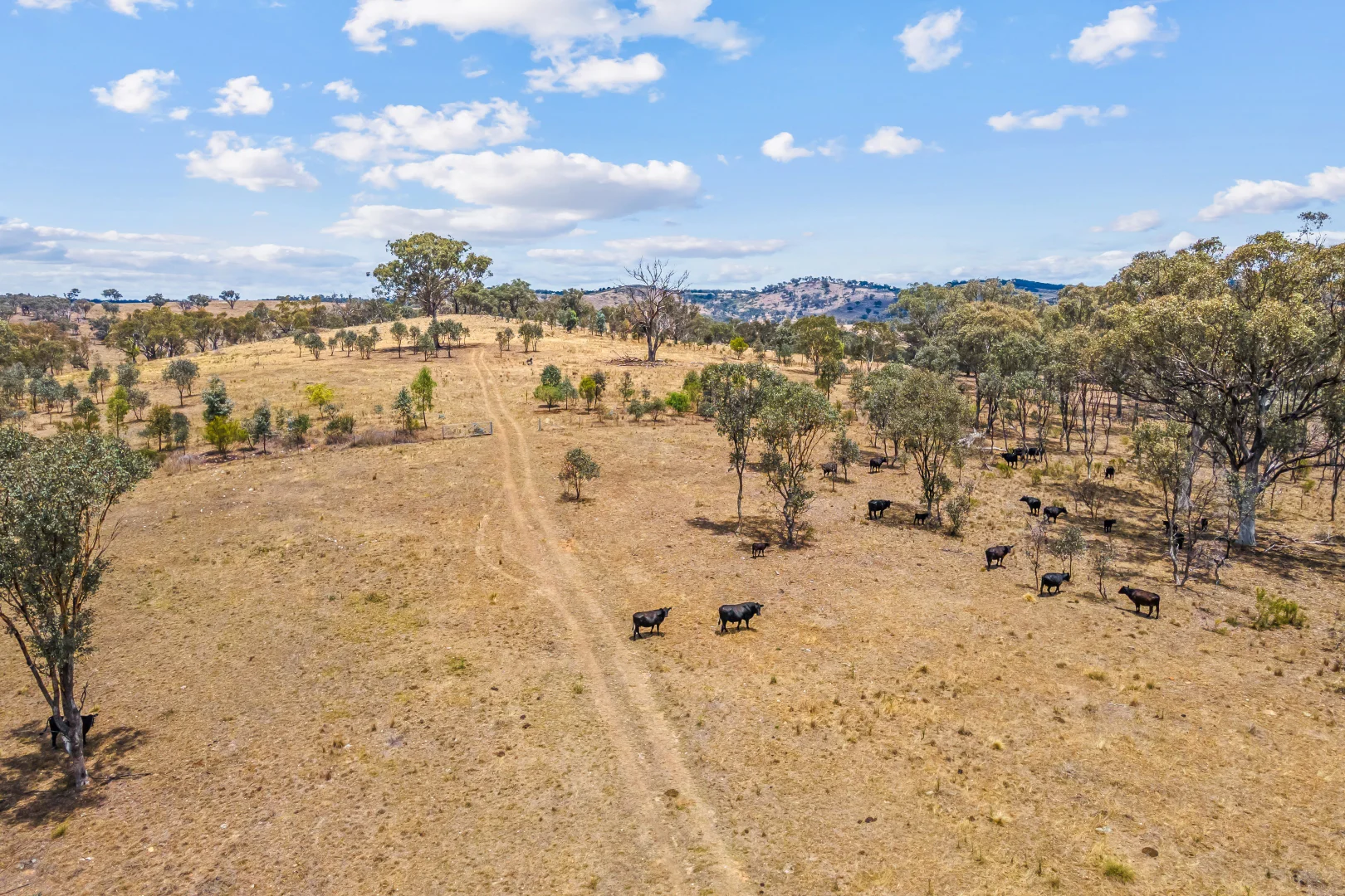Additional image 12 of 748 Turondale Road, Duramana NSW 2795