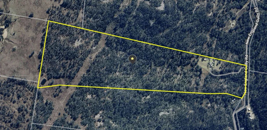 Additional image 29 of 829 New England Gully Road, Moonbi NSW 2353