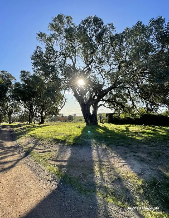 Additional image 20 of 109 Gall Lane, Balmattum VIC 3666