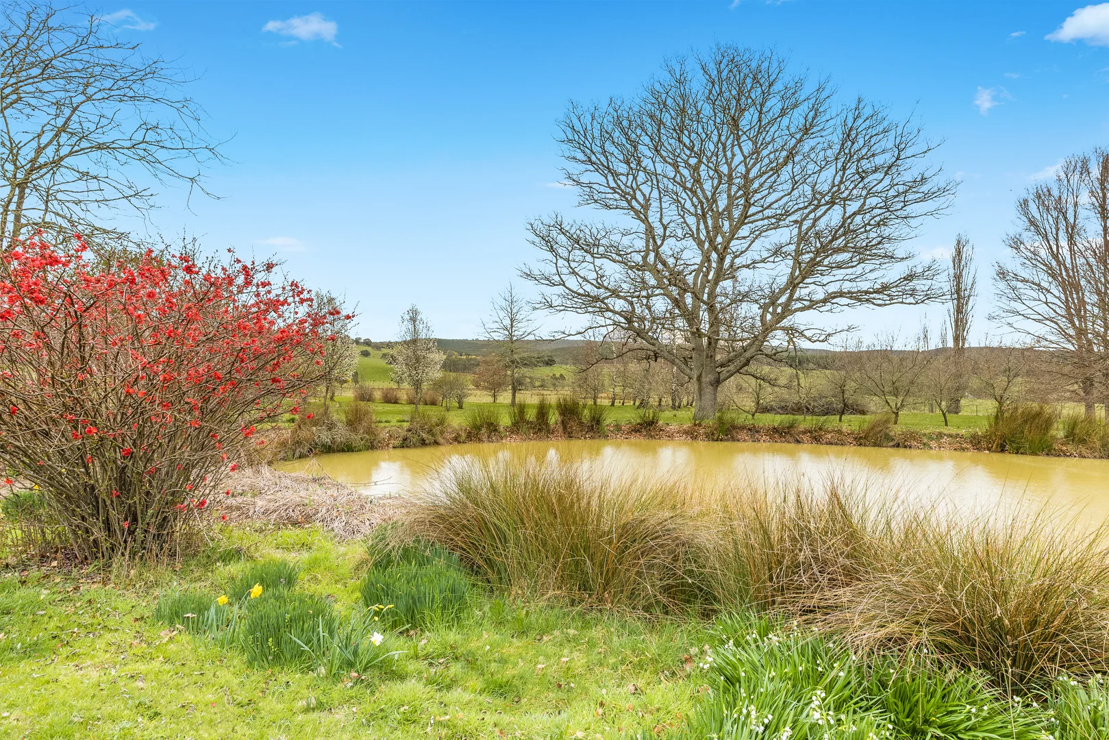 Additional image 34 of 171 Big Flat Road, Bombala NSW 2632