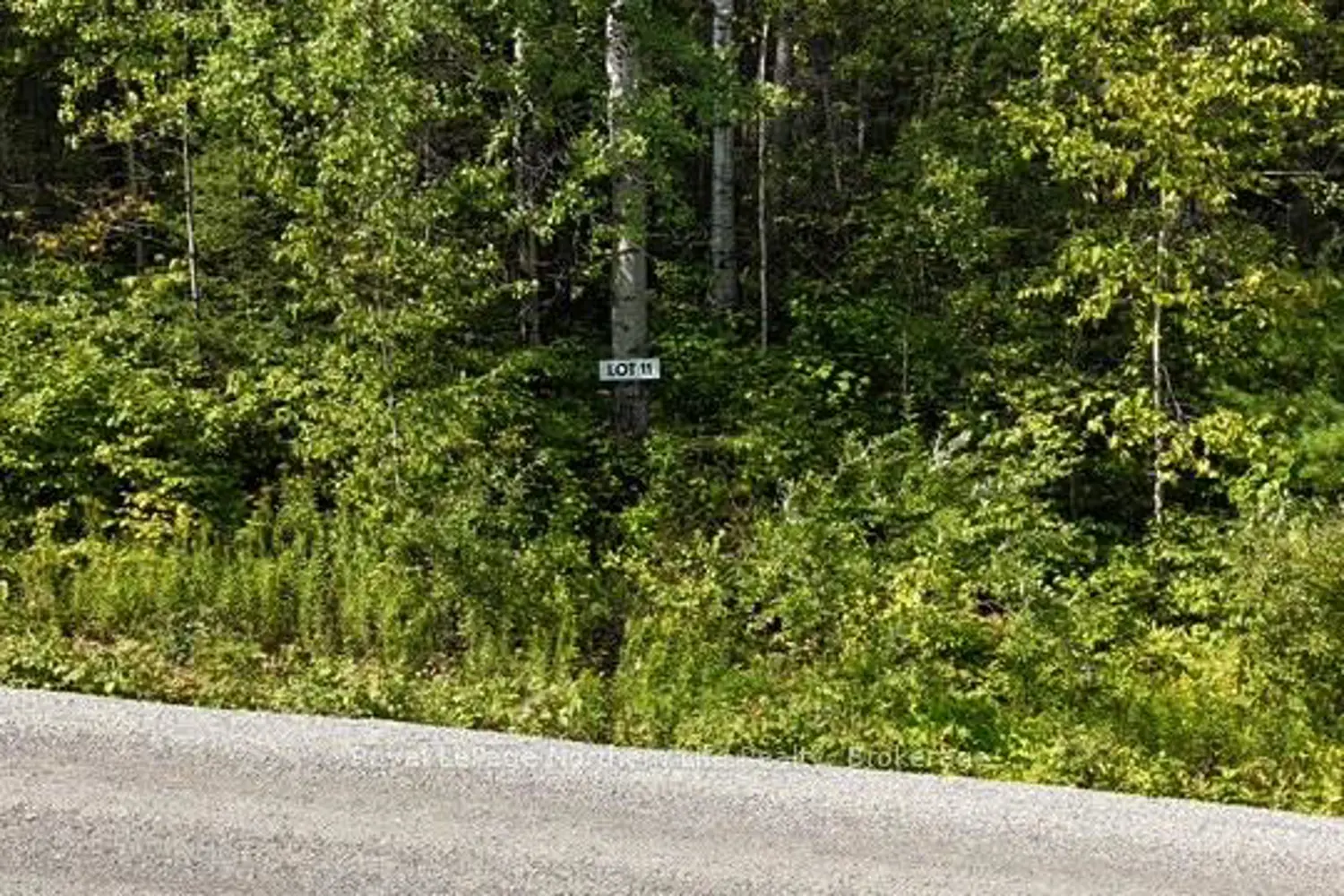 Additional image 2 of Lot 11 Fox Run Drive
