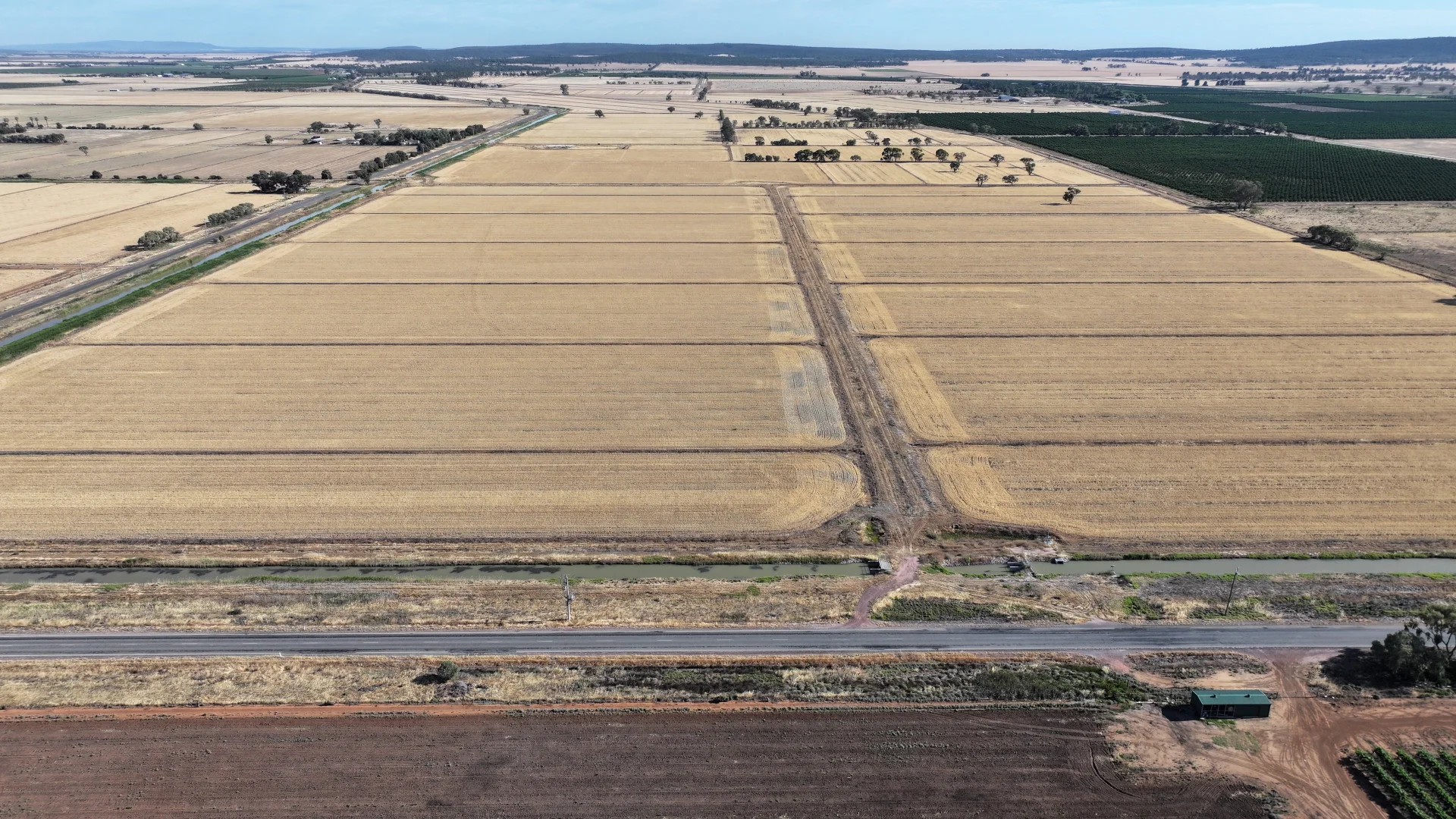 Additional image 4 of Farm 65 Stoney Point Road, Leeton NSW 2705