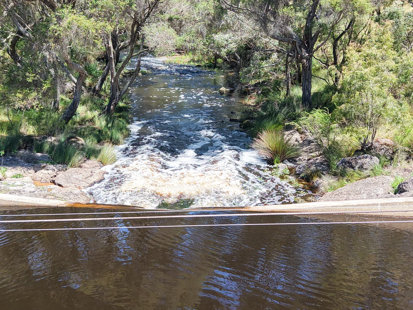 Additional image 14 of Lot 1 Coostien Road, Scott River WA 6288