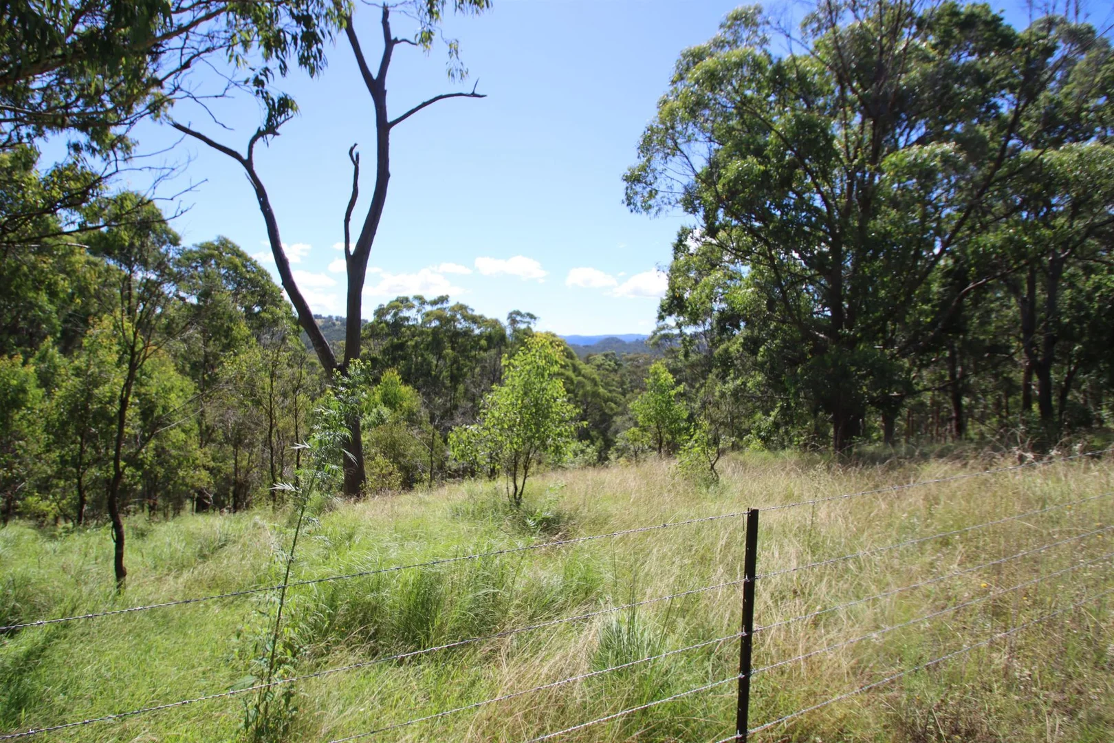 Additional image 17 of 1465 Billirimba Road, Tenterfield NSW 2372