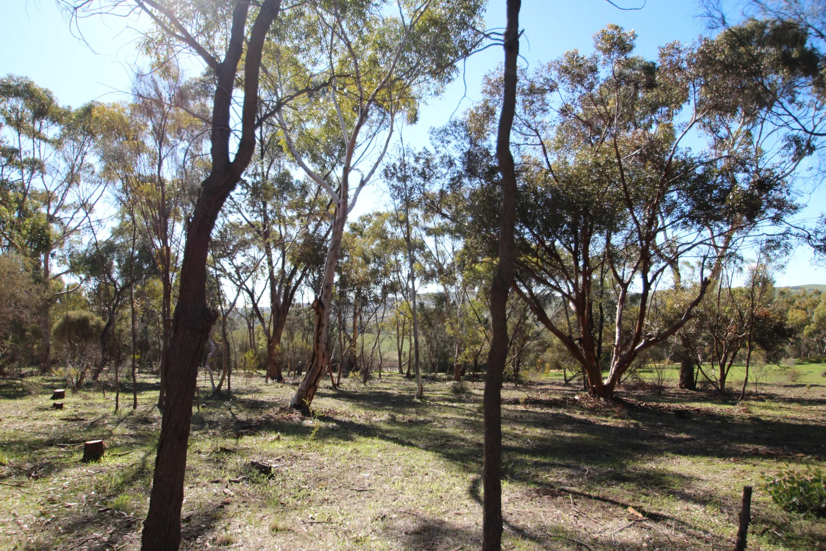 Additional image 3 of 8 West Terrace, Leasingham SA 5452