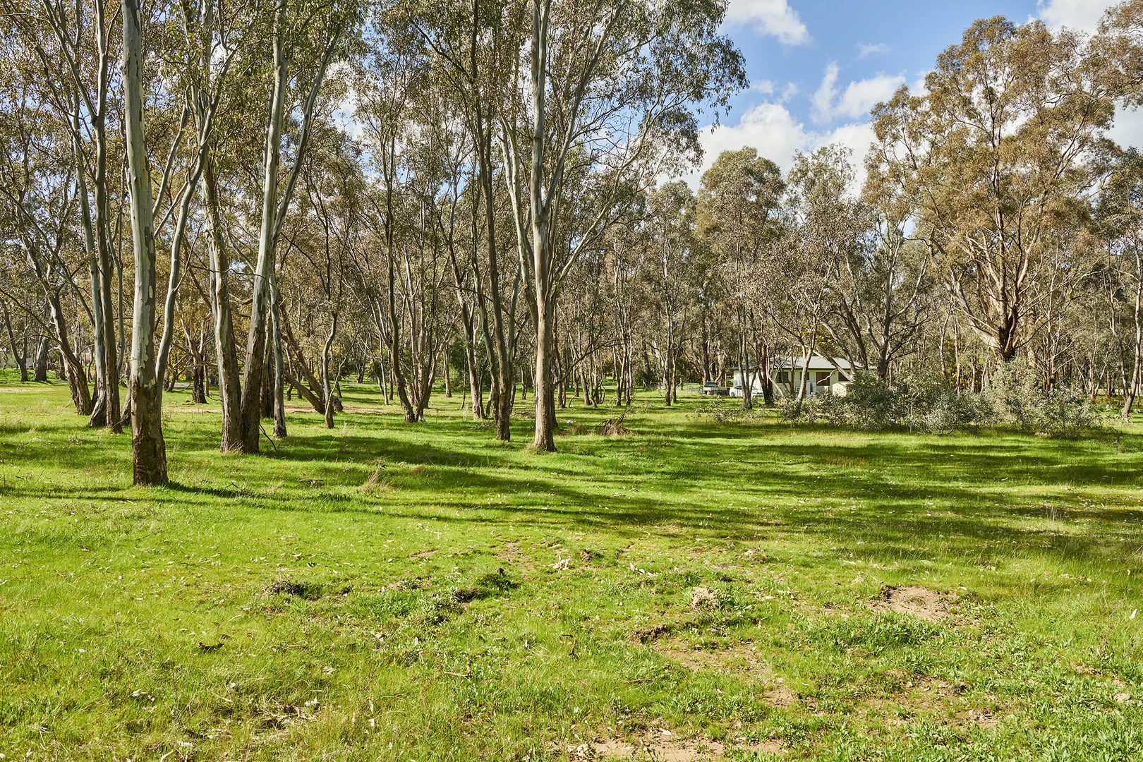 Additional image 4 of 83 Bennett Street, Heathcote VIC 3523