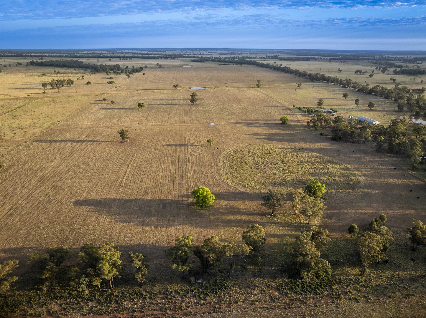 Additional image 20 of Mentone 1521 Bruie Plains Road, Trundle NSW 2875