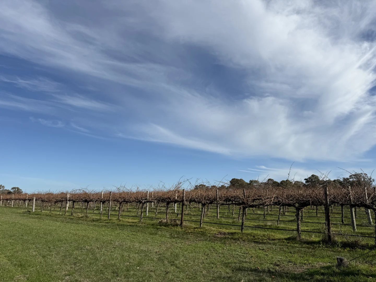 Additional image 6 of Lot 103 Dergholm Road, Penola SA 5277