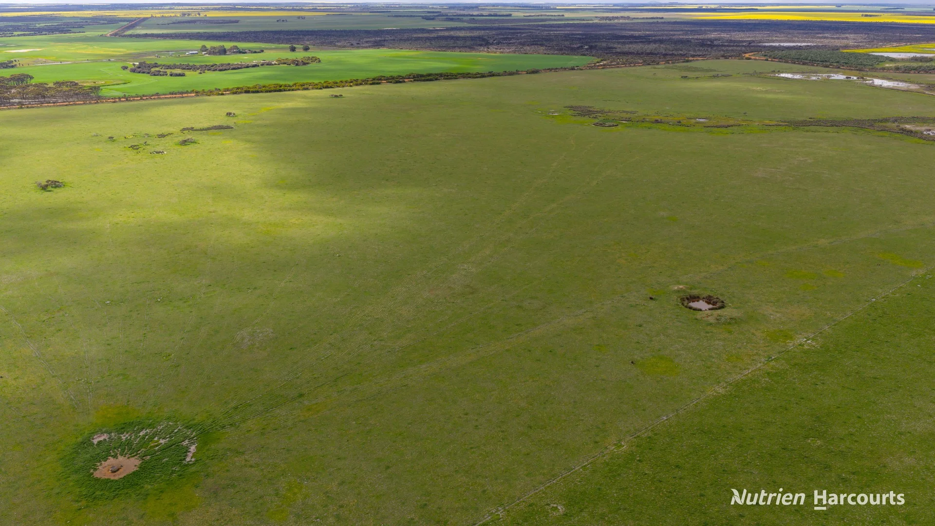 1463 Savage Road, Neridup WA 6450