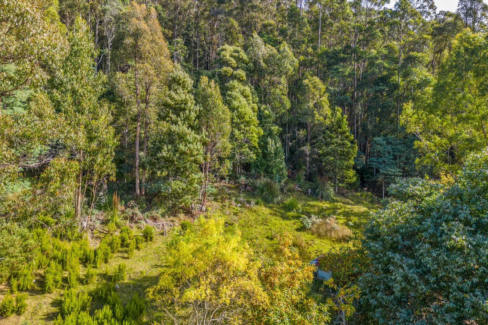 Additional image 6 of 1 Smiths Road, Nicholls Rivulet TAS 7112