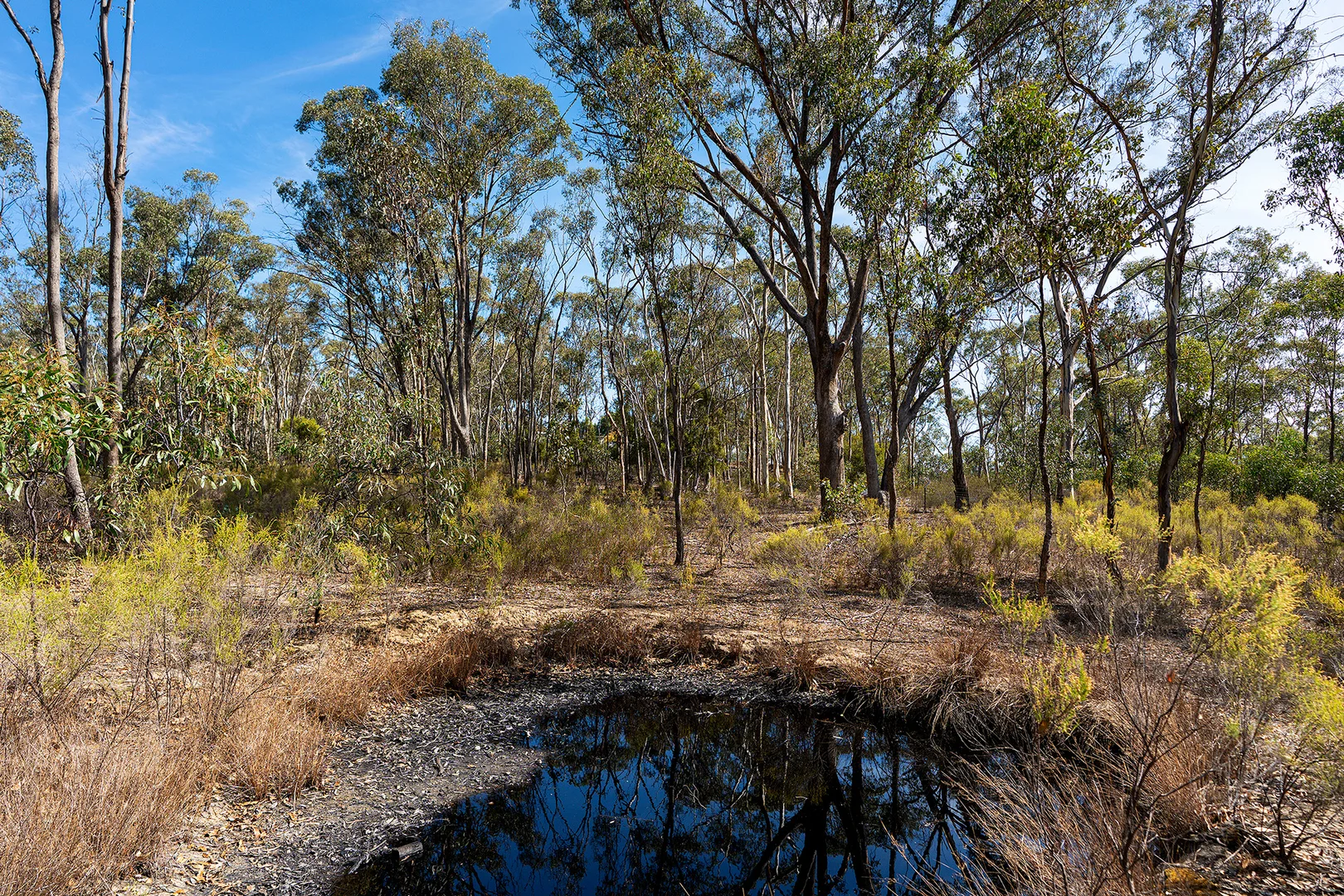 Additional image 16 of 160 Willy Milly Road, McKenzie Hill VIC 3451