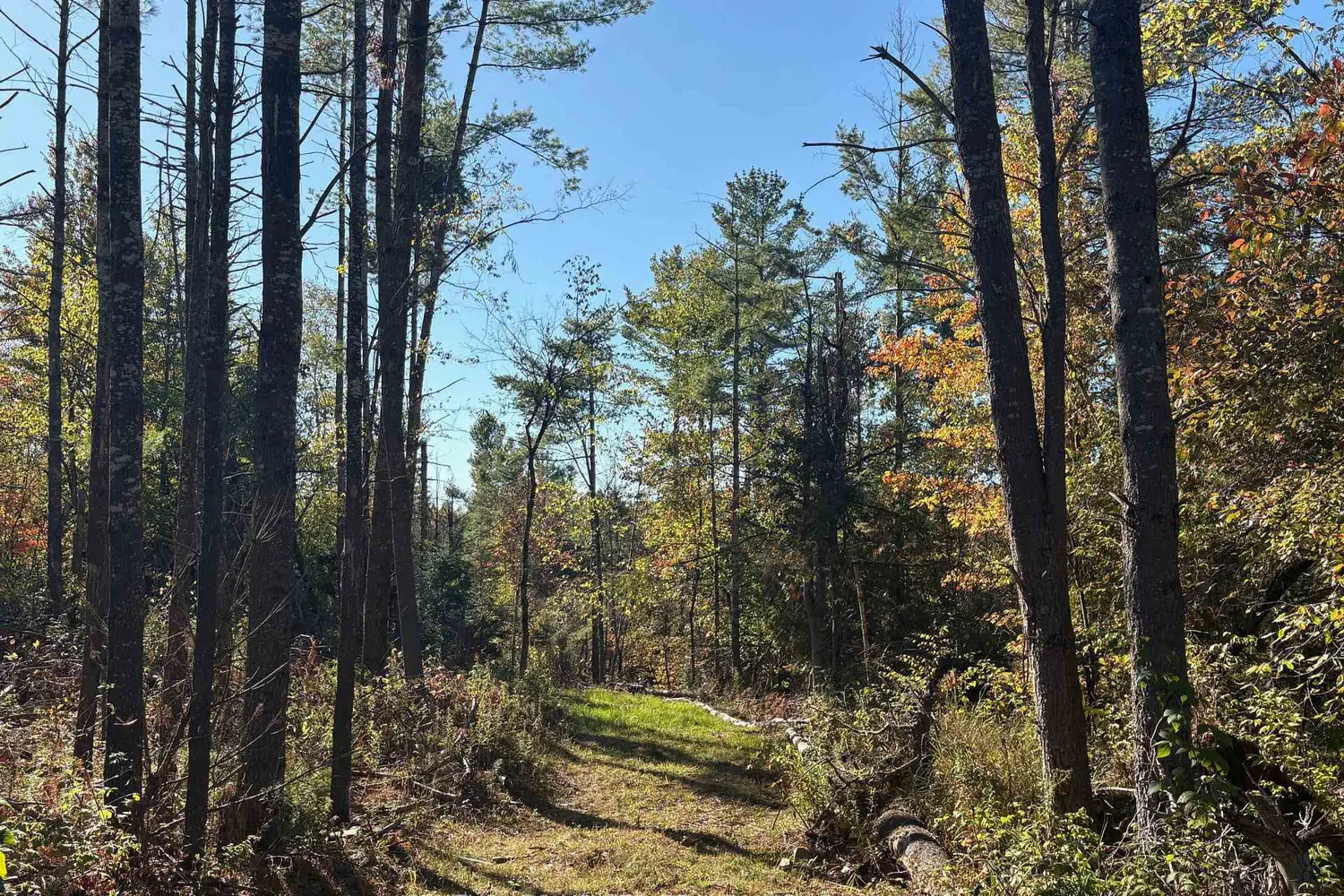 Additional image 10 of N/A Twin Sister Lakes Road