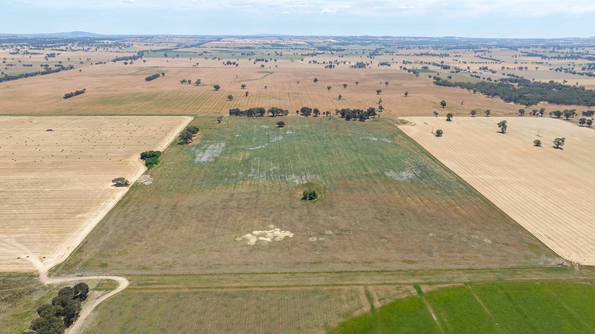 Additional image 7 of Part 4404 Riverina Hwy, Howlong NSW 2643