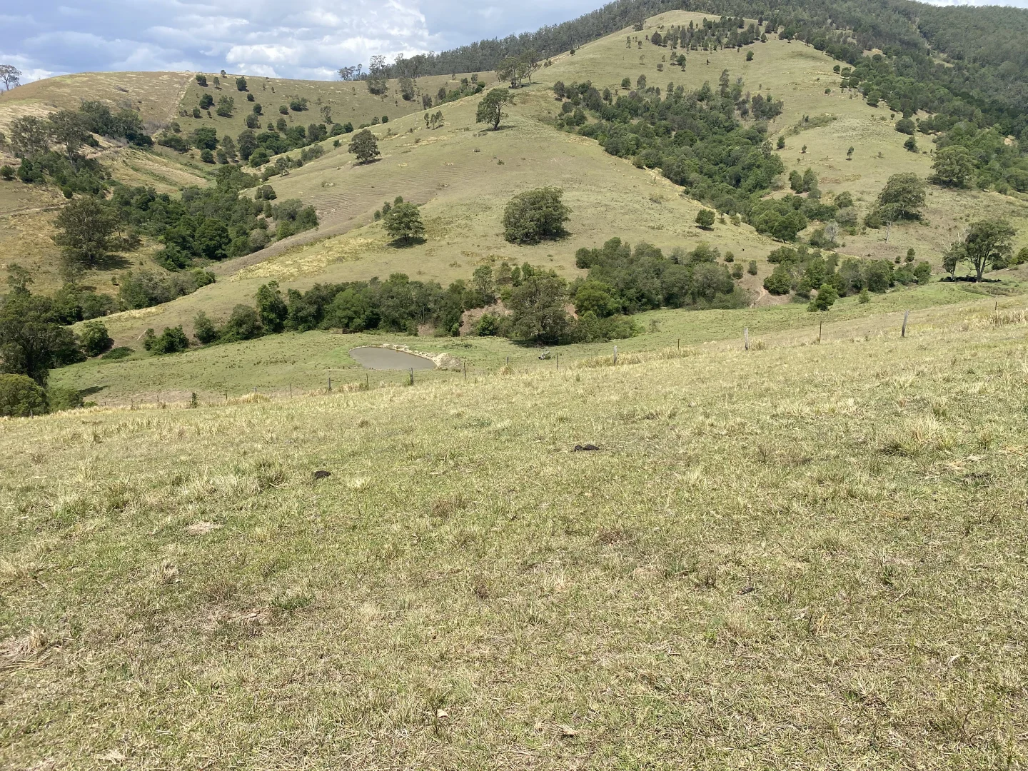 Additional image 5 of 343 Berrico Creek Road, Gloucester NSW 2422