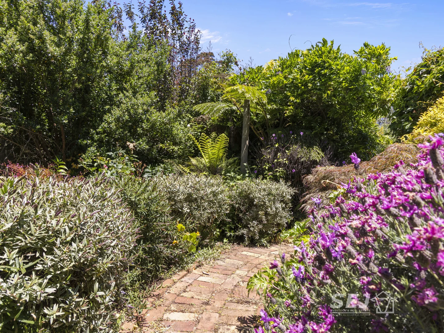 Additional image 8 of 155 Coulters Road, Mardan VIC 3953