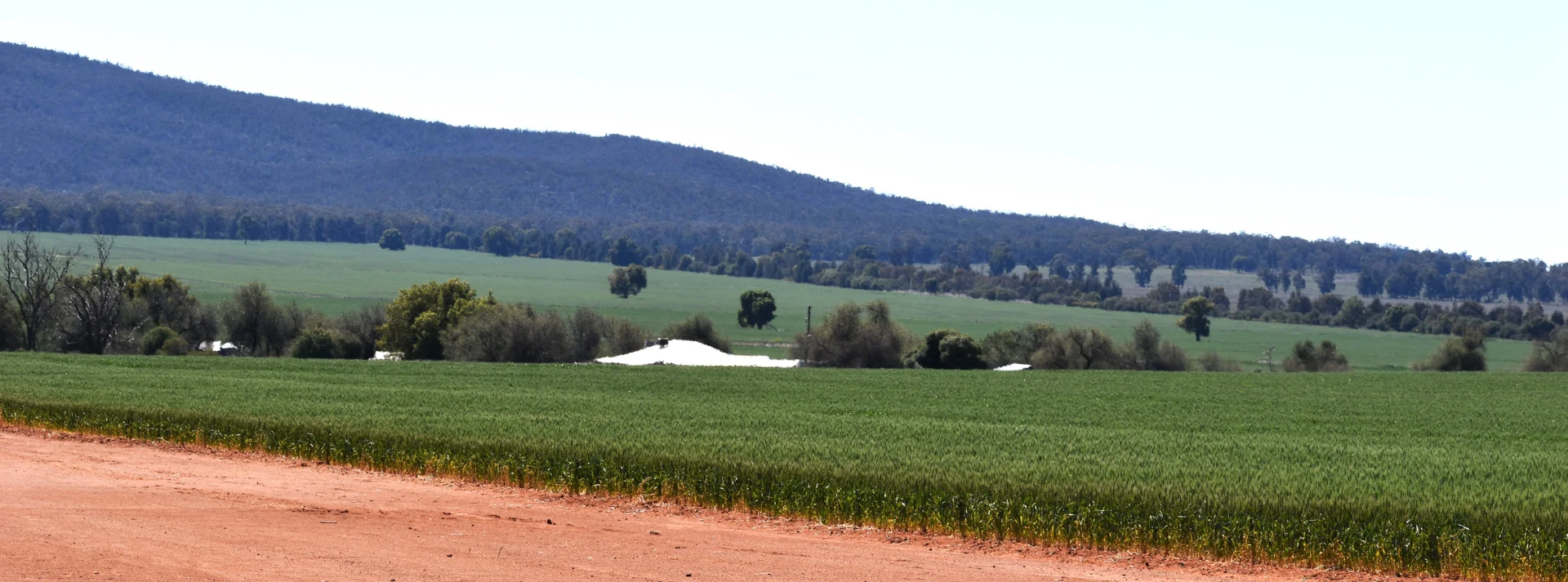 Additional image 13 of 2190 Yarrabandai Road, Trundle NSW 2875