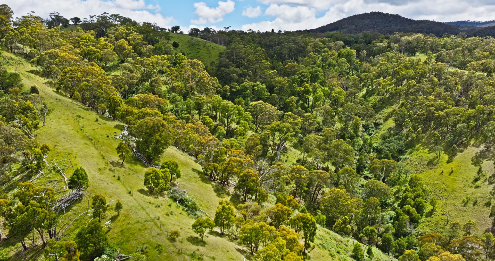 Additional image 21 of Lot 3 - 289 Tongio Gap Road, Tongio VIC 3896