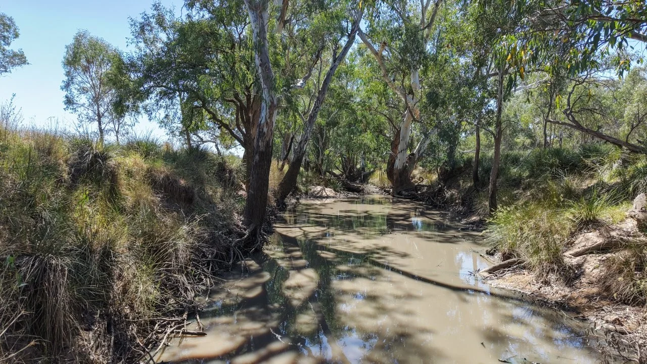 Additional image 22 of 128 Berida-Bullagreen Road, Collie NSW 2827