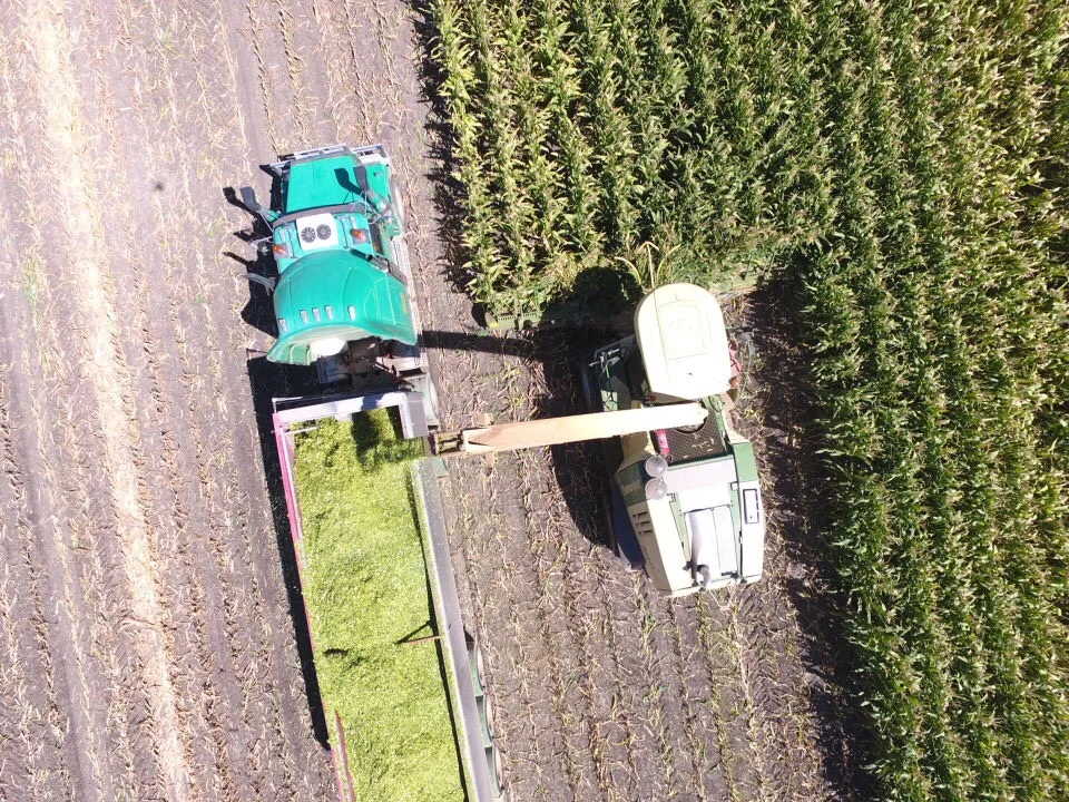 Additional image 28 of 1 Henry Lawson Way, Forbes NSW 2871