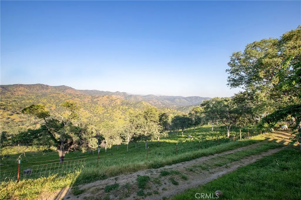 Additional image 84 of 35032 George Smith Rd, Squaw Valley, CA 93675