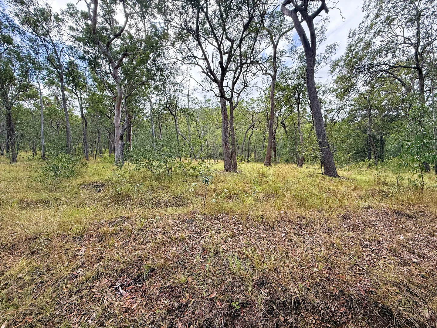 Additional image 27 of Lot 10/931 Nearum Road, Nearum QLD 4671