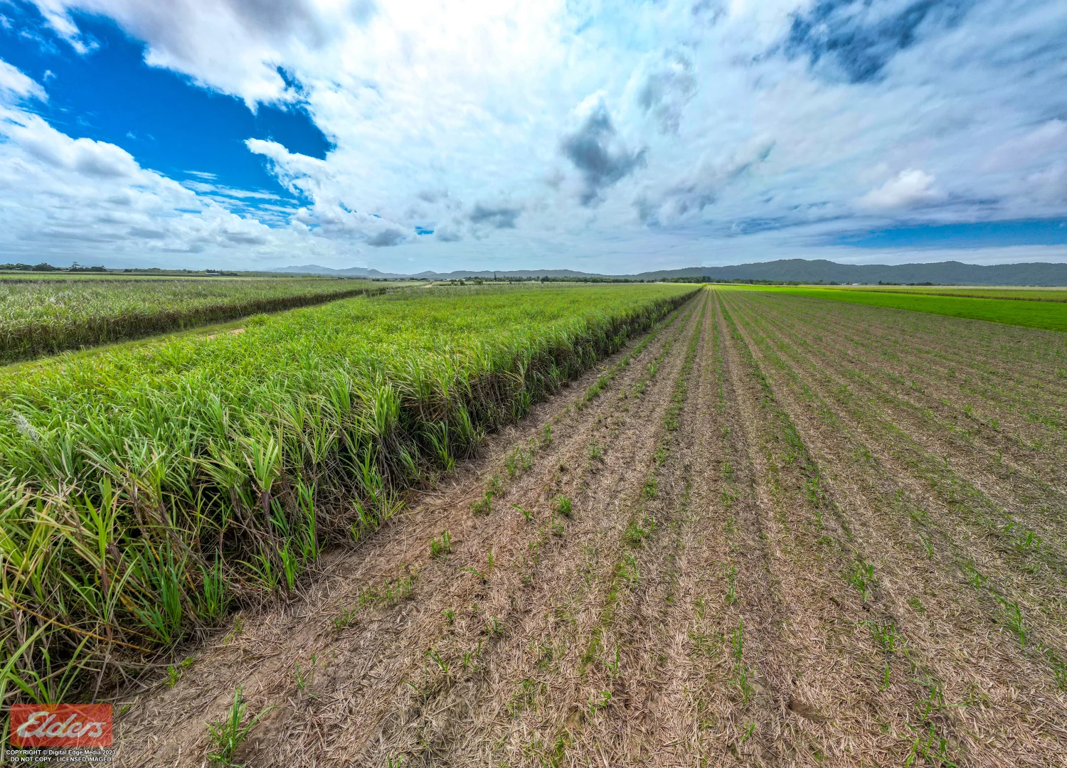 Additional image 11 of 318 Mourilyan Harbour Road, Mourilyan QLD 4858