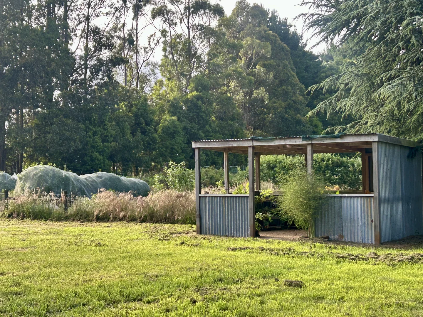 Additional image 31 of 150 Bergs Lane, Trentham East VIC 3458