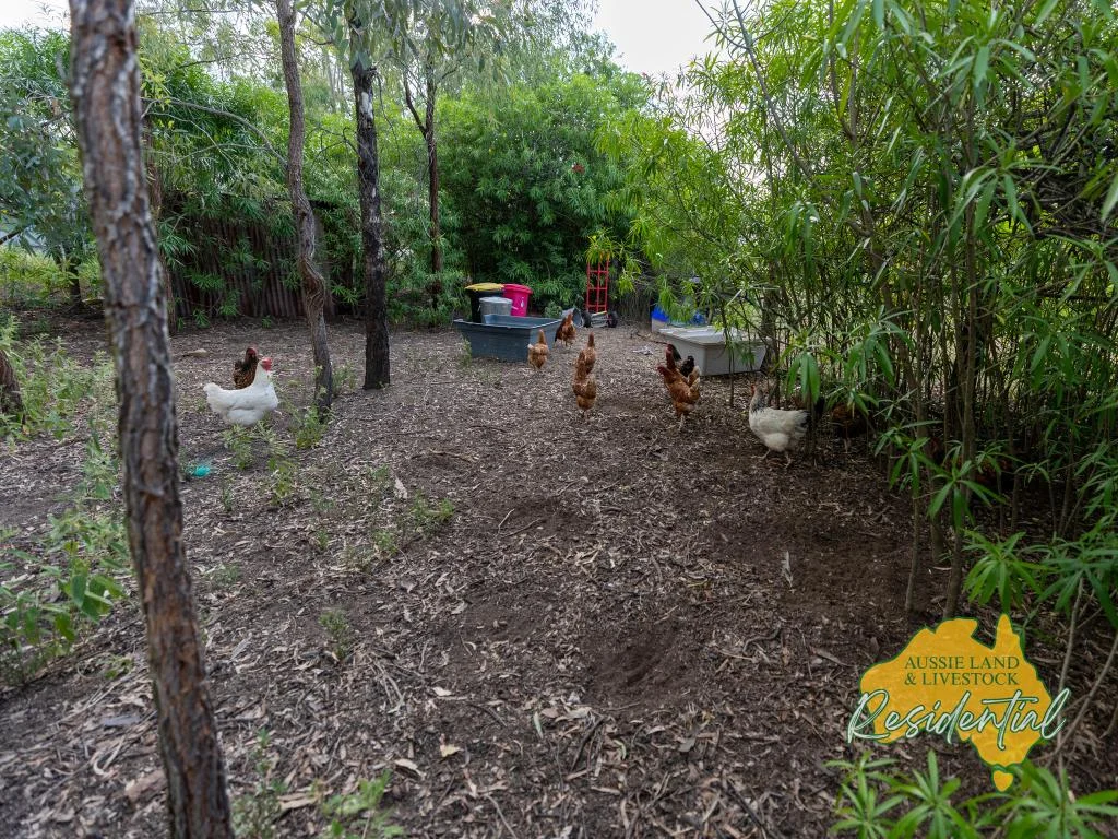 Additional image 29 of 21 SPRYS ROAD, Boynewood QLD 4626