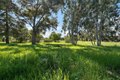 Additional image 50 of 13575 Mammini Ct, San Martin, CA, 95046