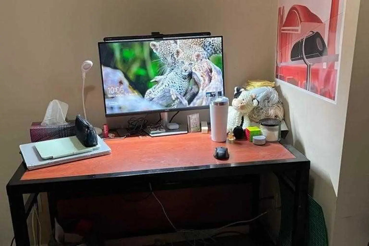 Additional image 11 of 261 Lester Street 101