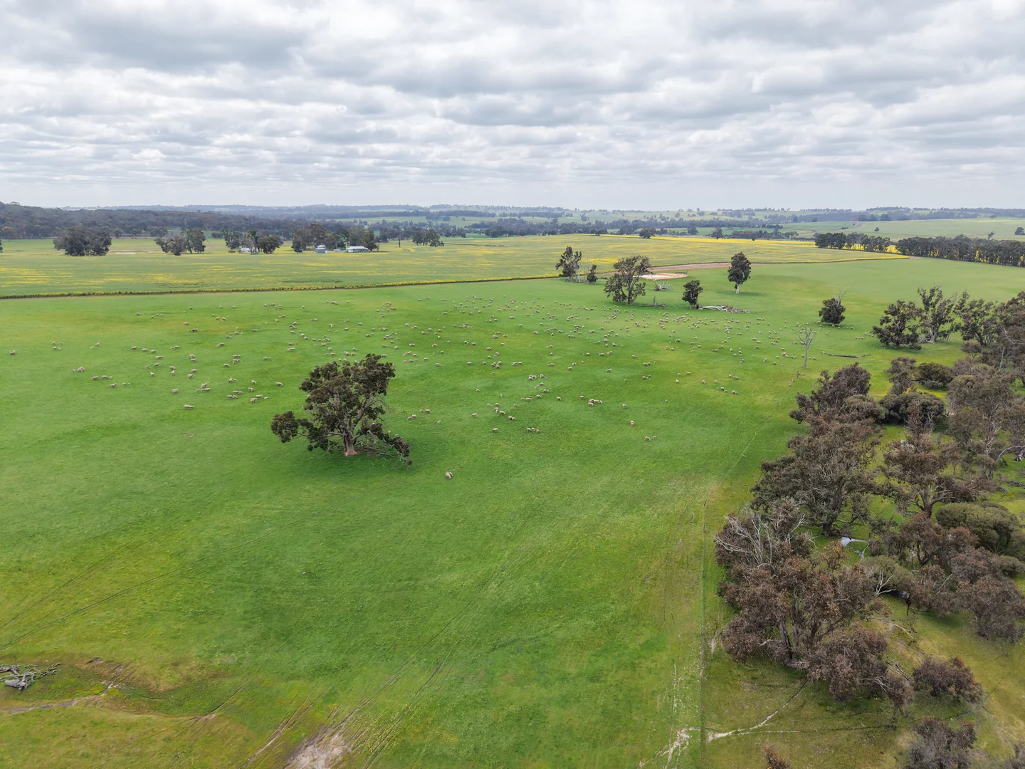 Additional image 13 of 495 Narlingup Road, Qualeup WA 6394