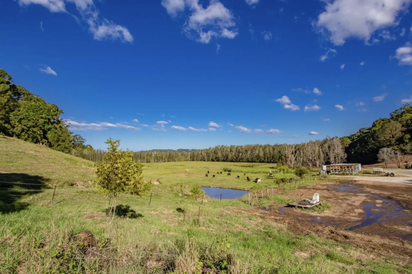 Additional image 27 of Mcauleys Road, Terranora NSW 2486