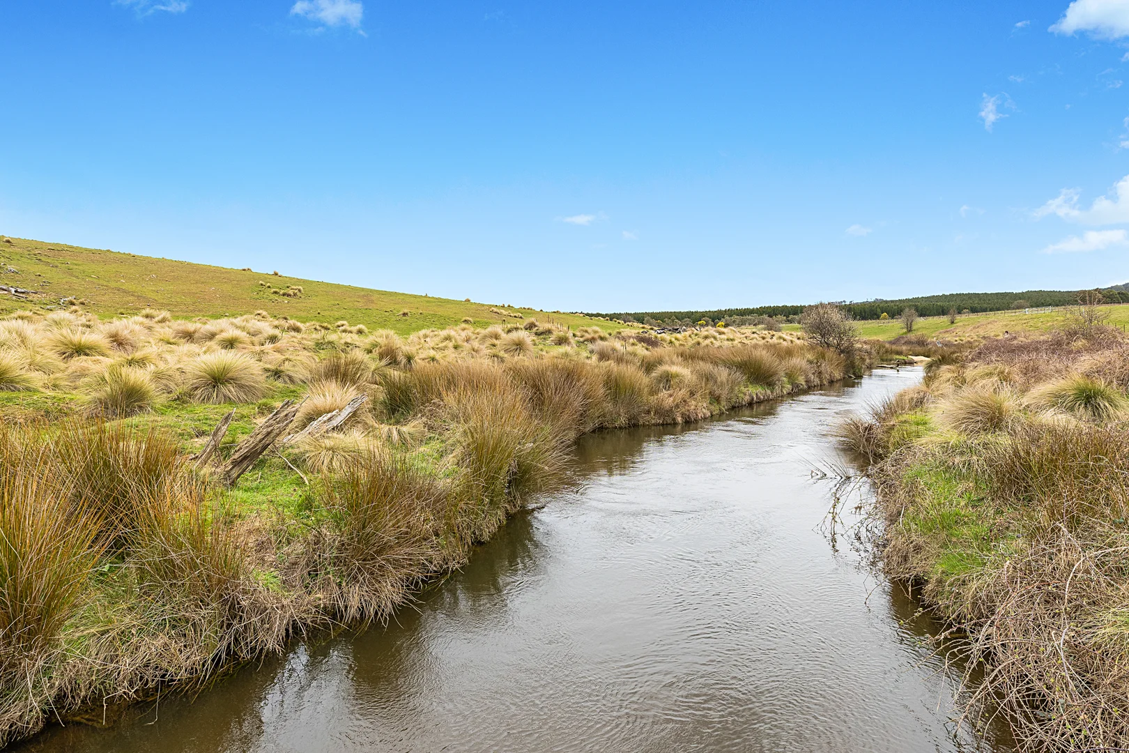 Additional image 4 of 171 Big Flat Road, Bombala NSW 2632