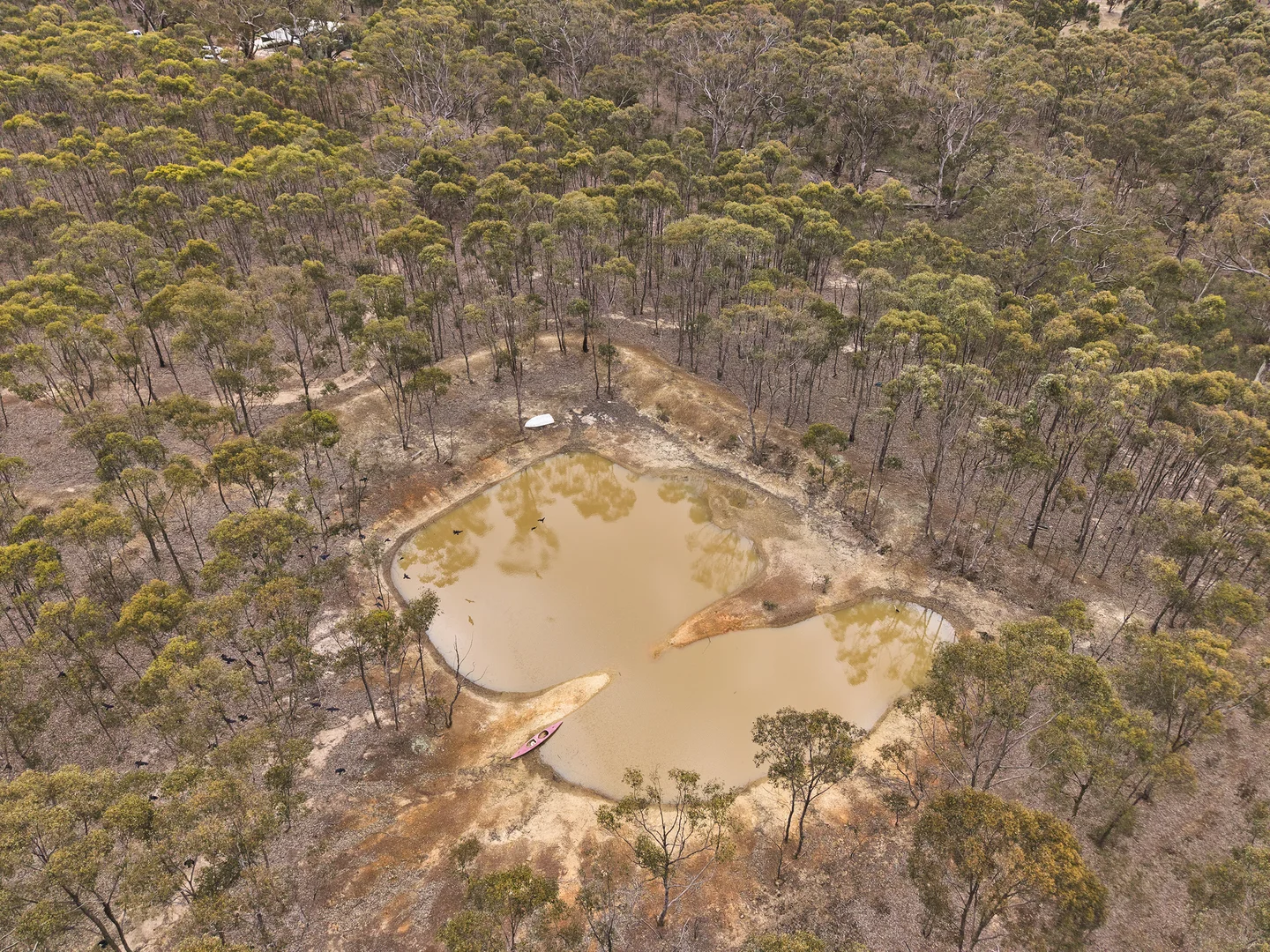 Additional image 20 of 373 Dealba Road, Heathcote VIC 3523